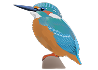 voegel