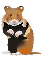 veilchen-k-logo-florian-illustration