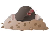 kaefer-k-logo-florian-ilustration