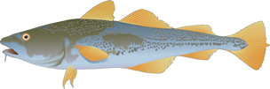 dorsch-klein-florian-illustration