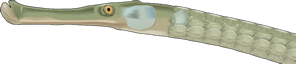 seenadel-klein-florian-illustration