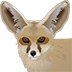 wuestenfuchs