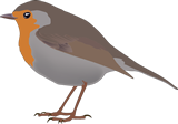 rotkehlchen-florian